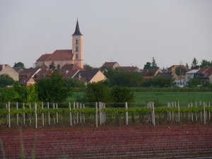 Velké Bílovice a okolí