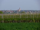Velké Bílovice